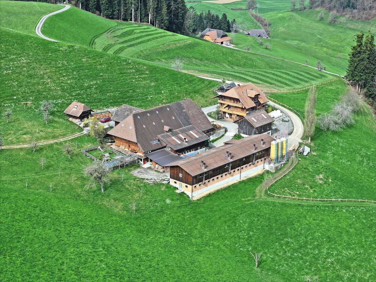 Der Schweinestall (direkt bei den Futtersilos) ist am Hang gebaut und doppelstöckig. Die unterschiedlichen Stalleingänge erschweren die Umsetzung der Hygieneschleuse.