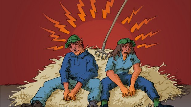 Landwirte sind tendenziell häufiger von Burnout betroffen als die übrige Bevölkerung, zeigte eine Studie von Agroscope und der ZHAW. (Bild Agroscope)