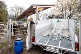 Die gro¨sste Investition war der Trailer, der rund 12 000 Franken kostete. Bild: Matthias Nutt 