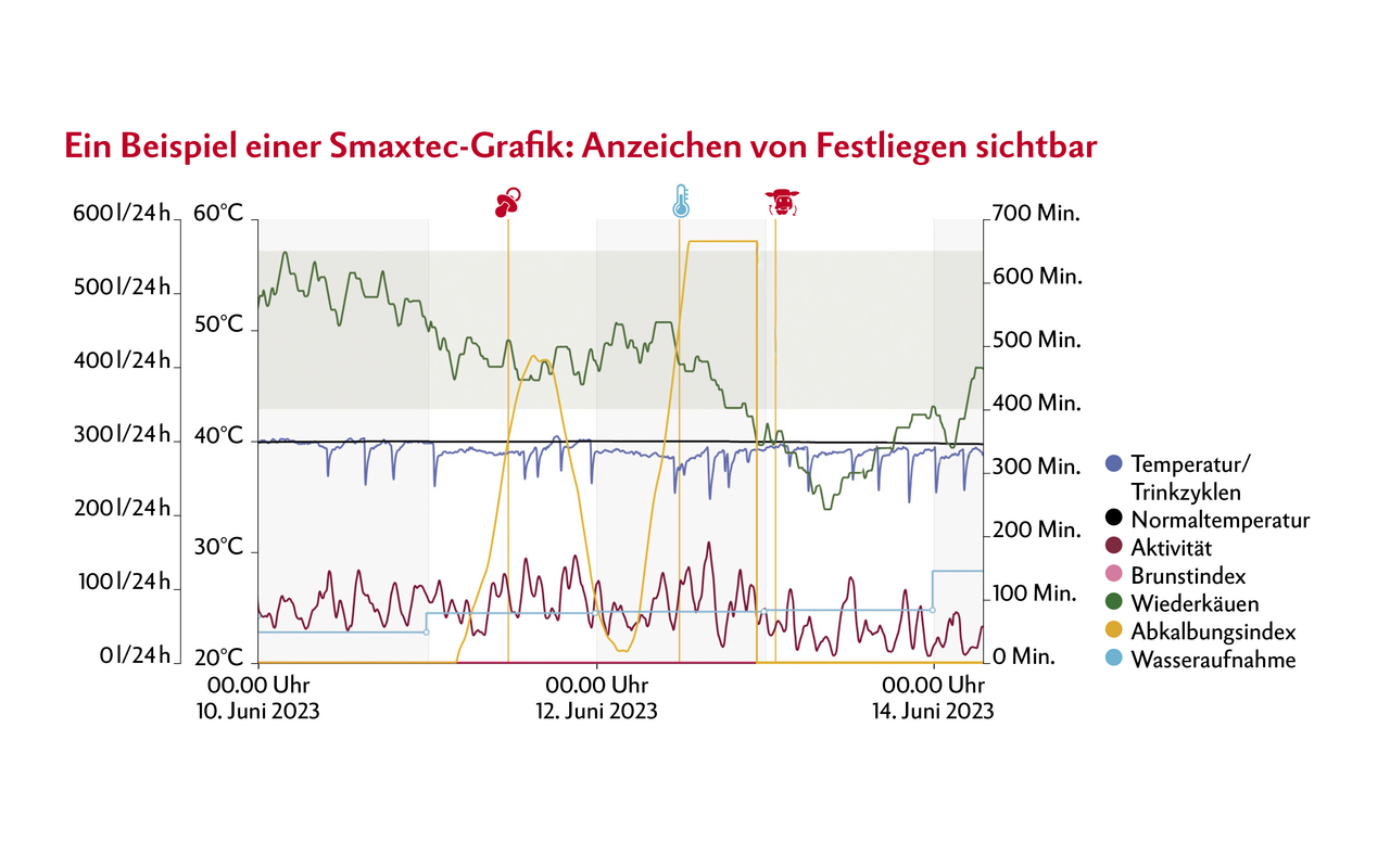 Eine Grafik zeigt mehrere Kurven in den unterschiedlichsten Farben. 