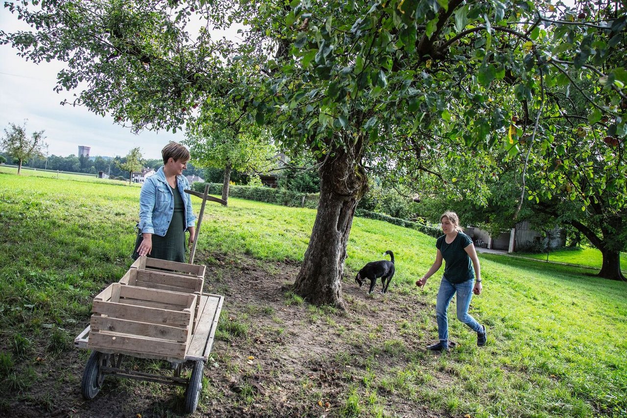 Am Abend noch Äpfel zusammenlesen: Vanessa Aeberhardt (links) und Meya Urben wird es auf dem Hof in Kirchberg nie langweilig. 