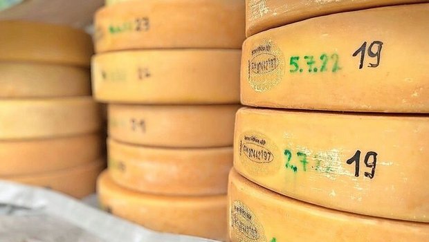 «Innere Werte»: Alpkäse hat auf dem internationalen Premiummarkt gute Perspektiven. 