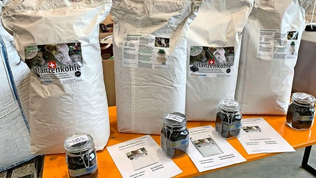 Gesackt oder im Big Bag: Pflanzenkohle ist schon in vielen Varianten im Handel erhältlich. 