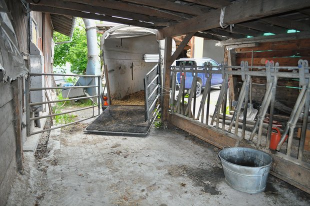 Tiertransporte: Den letzten Gang leichter machen Der Anhänger wird am Vortag des Transportes an den Auslauf gefahren, der sonst als Fressplatz benutzt wird. (Bild: Fam. Buchli)