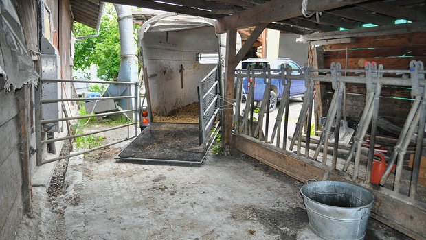 Tiertransporte: Den letzten Gang leichter machen Der Anhänger wird am Vortag des Transportes an den Auslauf gefahren, der sonst als Fressplatz benutzt wird. (Bild: Fam. Buchli)