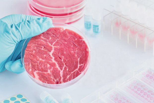 Aktuell ist noch kein Fleisch aus dem Labor auf dem Markt. Bild: Adobe Stock