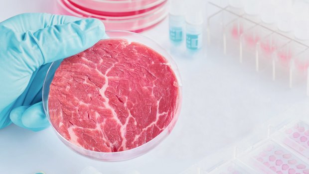 Aktuell ist noch kein Fleisch aus dem Labor auf dem Markt. Bild: Adobe Stock