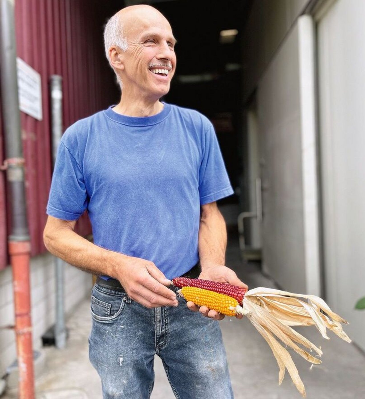 «Seit 2004 pflanzen wir wieder die alte Maissorte Rosso del Ticino an, deren Maiskolben eine intensive, dunkle Rotfärbung haben», erklärt Paolo Bassetti im Verarbeitungszentrum in Cadenazzo TI.