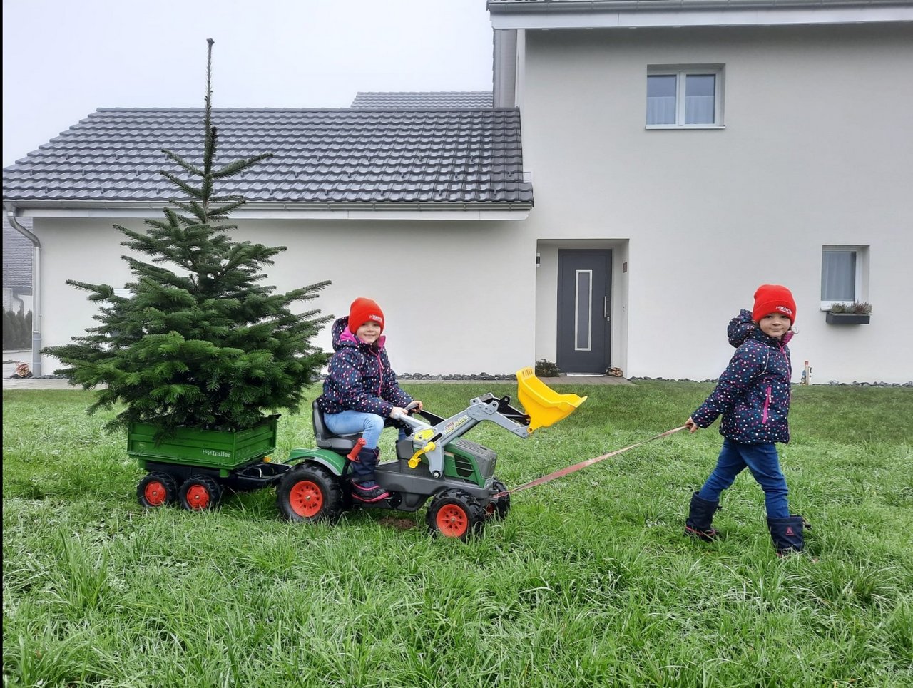 Christbaumtransport - Bild eingesendet von Sandra Akermann