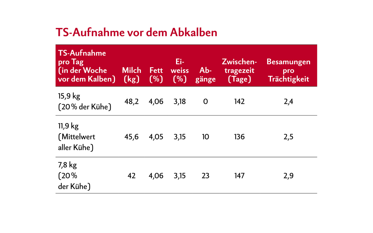 Die Tabelle zeigt die Aufnahmemengen von Trockensubstanz von Milchkühen vor der Abkalbung.