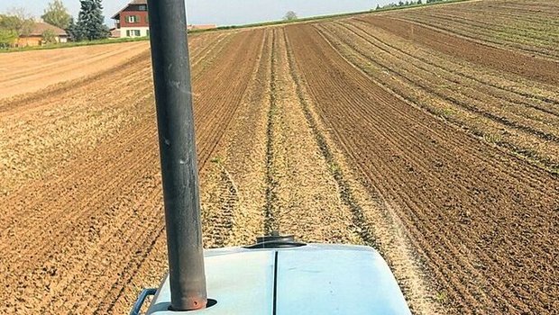 Traktor-Legenden frü Traktor-Legenden früherer Jahre werden nachgerüstet.