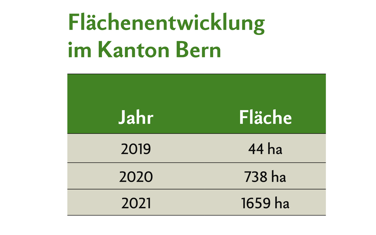 Tabelle zur Flächenentwicklung der Getreide in weiten Reihen im Kanton Bern, von 2019 bis und mit 2021.