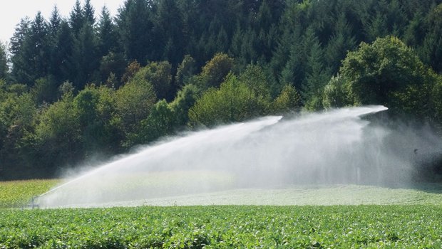 Die Bewässerung von landwirtschaftlichen Kulturen dürfte mit dem Klimawandel weiter an Bedeutung gewinnen. Wichtig ist eine gute Datengrundlage für die optimale Versorgung der Kulturen. (Bilder HAFL)