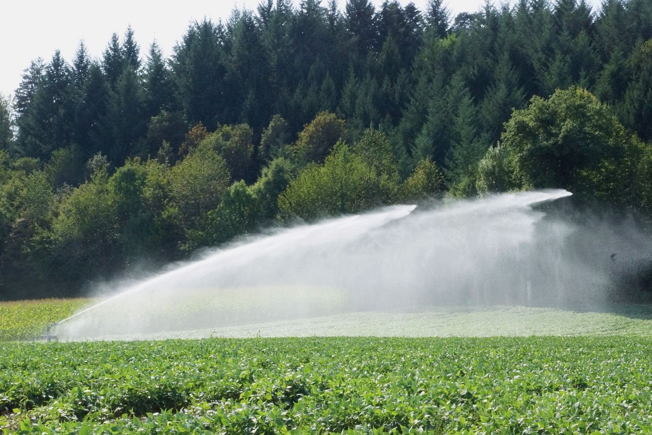Die Bewässerung von landwirtschaftlichen Kulturen dürfte mit dem Klimawandel weiter an Bedeutung gewinnen. Wichtig ist eine gute Datengrundlage für die optimale Versorgung der Kulturen. (Bilder HAFL)