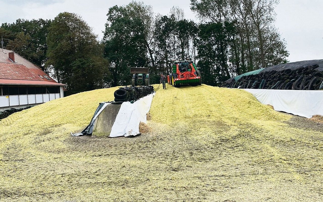 Um mehr Lagerkapazität zu schaffen, wurden die beiden Maissilos hinter der Mauer kurzerhand zusammengelegt.