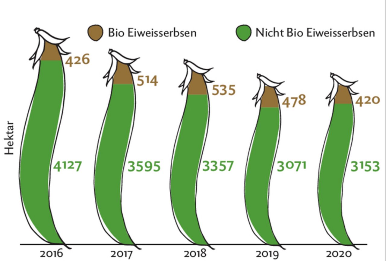Infografik: Anbauflächen von Eiweisserbsen in der Schweiz