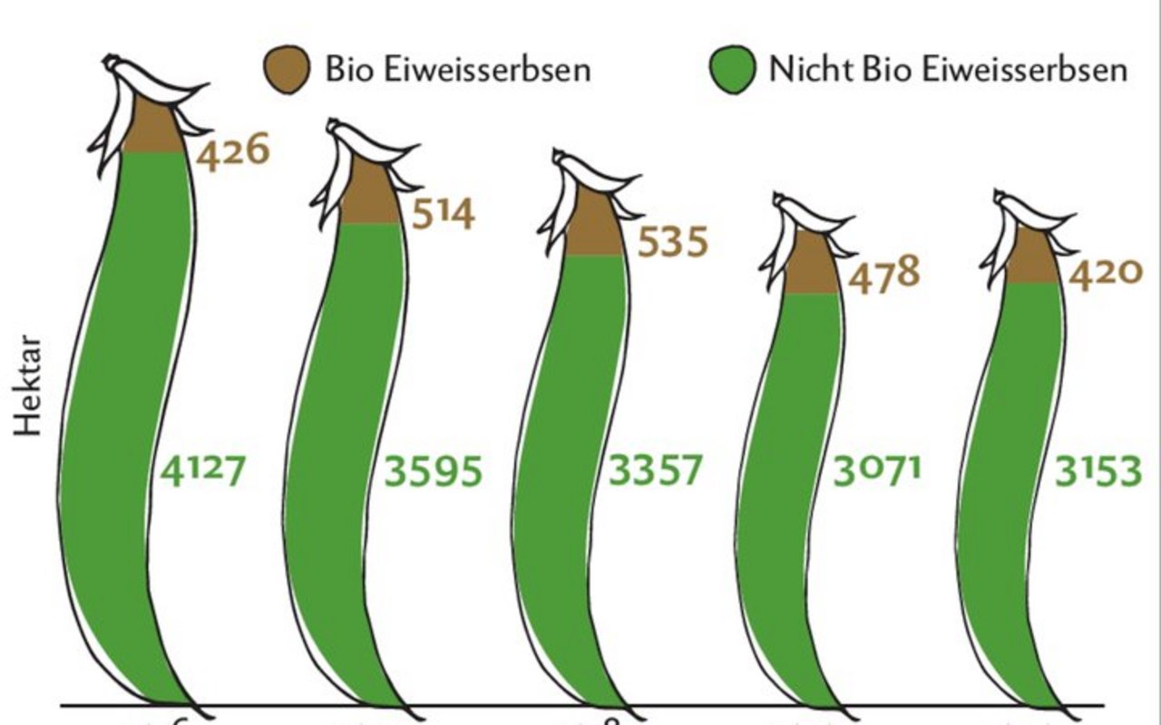 Infografik: Anbauflächen von Eiweisserbsen in der Schweiz