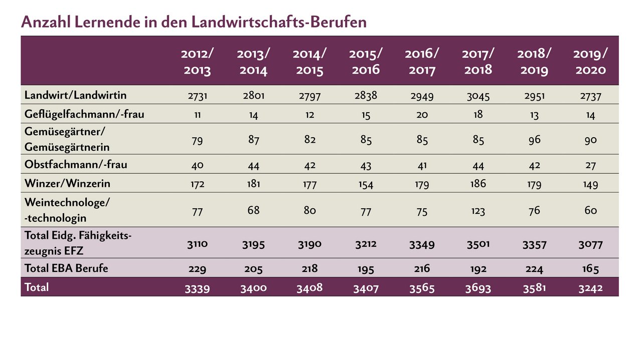 Je nach Beruf sind die jährlichen Schwankungen der Lernendenzahlen in der Landwirtschaft zwar mehr oder weniger gross,aber im Mittel bleiben die Zahlen über die letzten acht Jahre konstant. Quelle: Agriprof