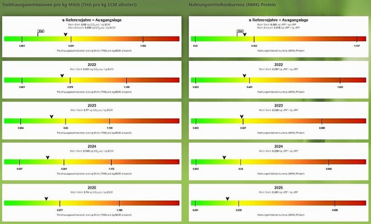 Ein Ausschnitt aus dem Klimarechner Klimastar Milch zeigt Werte des Betriebes von Markus Gisler: Der linke Wert der Skala entspricht dem niedrigsten Wert aller Produzenten innerhalb einer festgelegten Referenzgruppe in einem ausgewiesenen Zeitraum. Der rechte Wert entspricht dem höchsten Wert aller Produzenten. In der Mitte findet sich ein Gruppenmittelwert. Der betriebseigene Wert der jeweiligen Parameter ist durch den Pfeil gekennzeichnet, während die Flagge den Zielwert markiert.