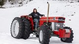 Der Massey Ferguson 165 ist Nicole Schulers Traumtraktor. (Bild: «die grüne»/Gian Vaitl)