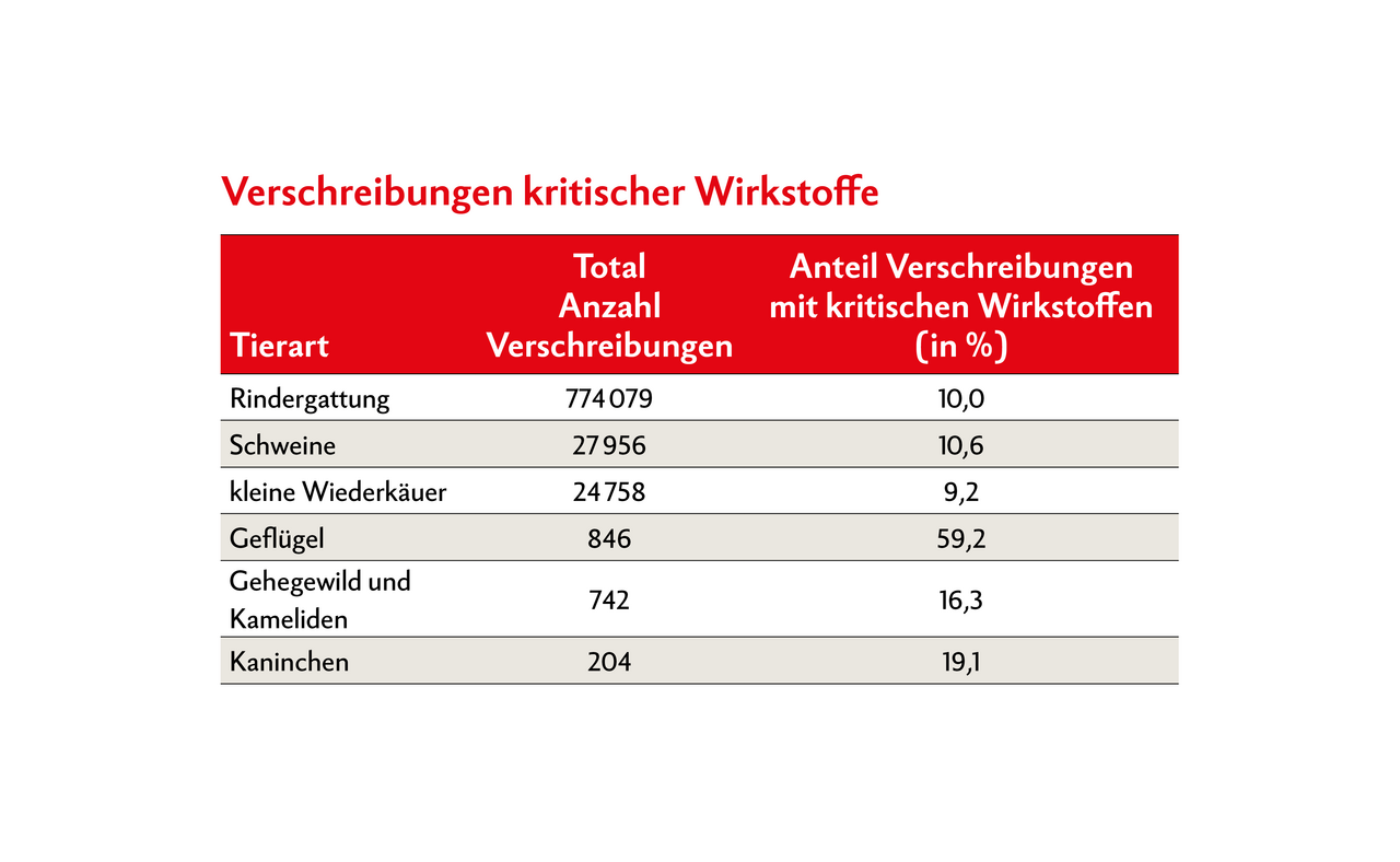 Tabelle zeigt Anzahl Verschreibungen pro Tierart sowie der Prozentsatz an kritischen Antibiotika.