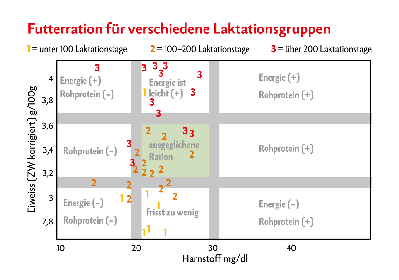 9-Eck, wie es auch in der Milchleistungsprüfung ausgewiesen wird, zeigt Verteilung der Milchkühe zwischen Eiweissgehalt und Harnstoff. 