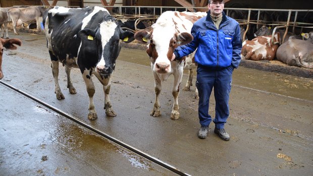 Markus Kaufmann, Ibenmoos, Kleinwangen hat bei den Laufgängen ein Quergefälle und Harnsammelrinnen eingebaut. (Bilder js)