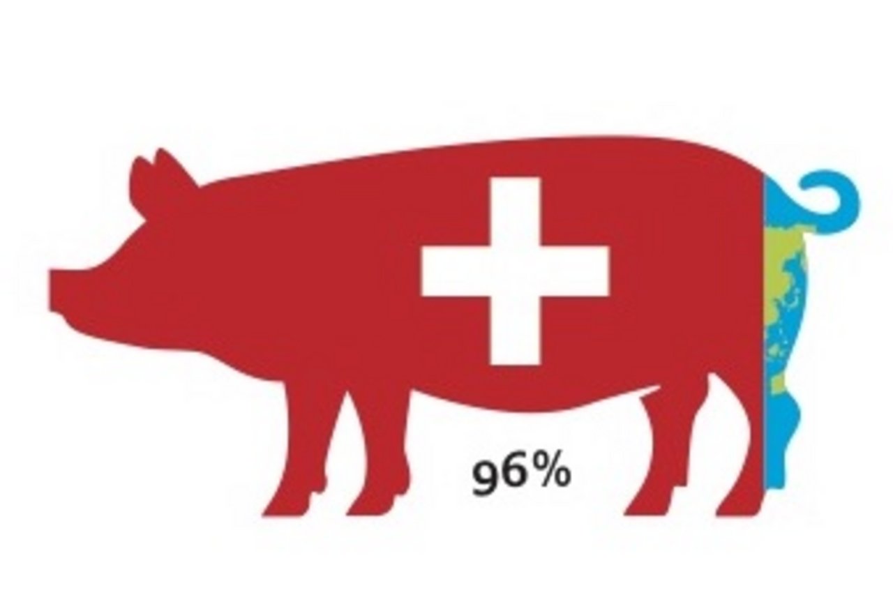 4. In der Schweiz leben immer weniger Schweine. Grafik: Doris Rubin