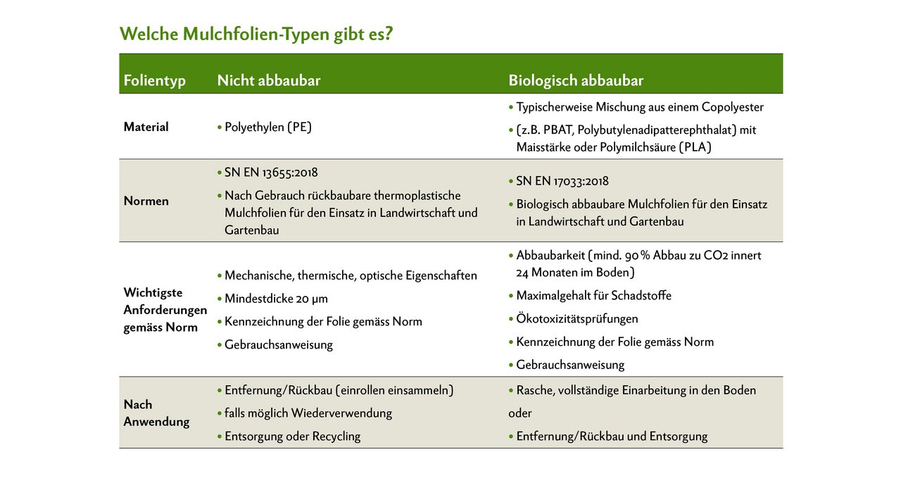 Mulchfolien müssen nach der Anwendung korrekt entsorgt werden. Biologisch abbaubare Folien sollten rasch und vollständig eingearbeitet werden. Quelle: Kanton Zürich Gesundheitsdirektion Baudirektion, Merkblatt «Inverkehrbringen und Verwenden von Mulchfolien»