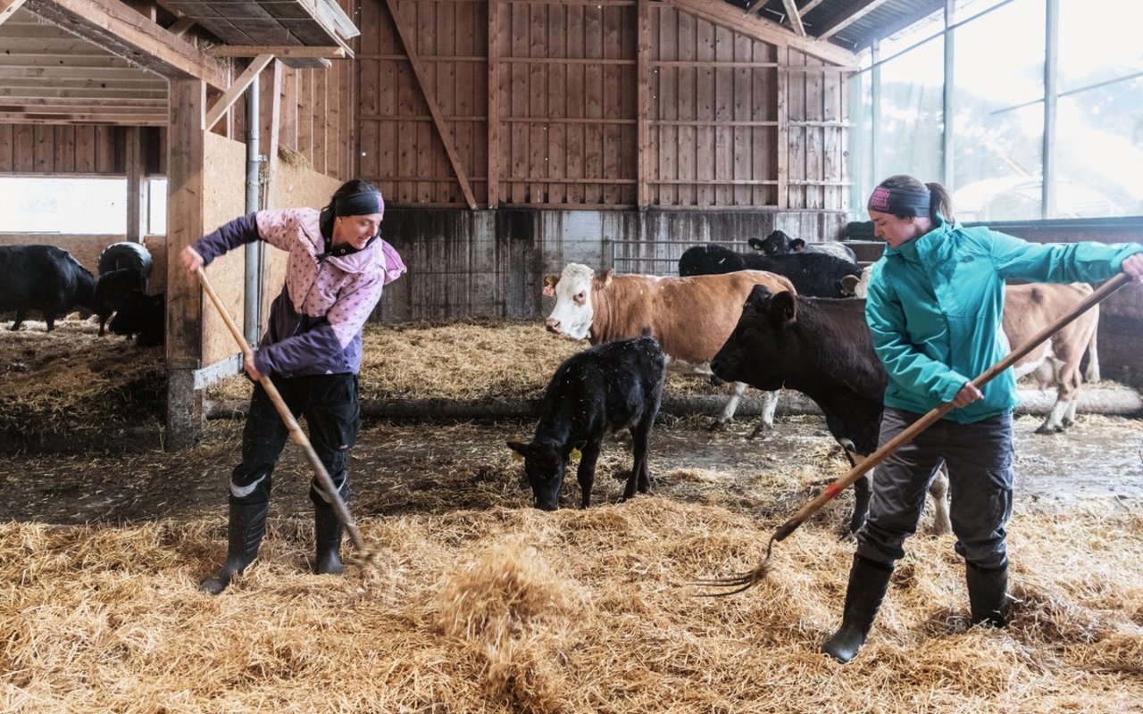 Das Schwestern-Duo Nina (links) und Lena Hitz gehören neu zum Team. «Viele Schultern tragen die Verantwortung», sagt Landwirtin Nina Hitz. 