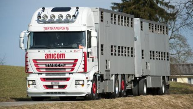 Die Anicom hat in die Logistik investiert und deshalb ist ihr Unternehmensergebnis ein wenig zurückgegangen im Vergleich zum Vorjahr. (Bild Anicom)