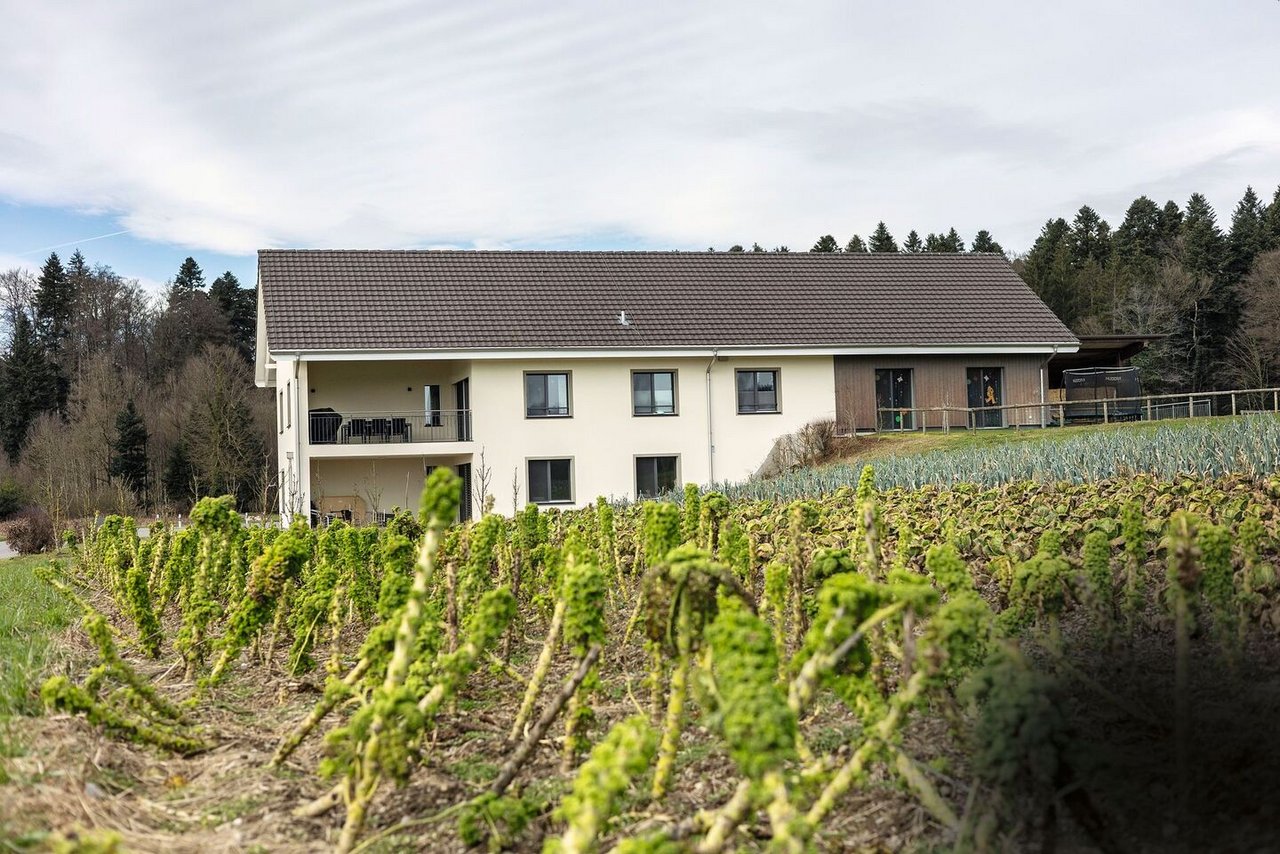 Das Haus wächst aus dem Gelände: Das war eine der Auflagen, damit Familie Kohler ihr Wohnhaus errichten durfte.