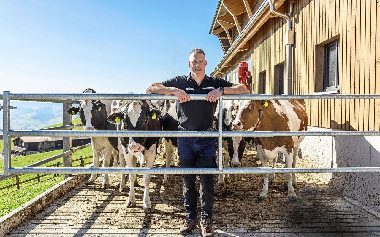 Matthias Sempach und seine Holsteinkühe freuen sich auf den Weidestart. Die Weiden hat er mit einem festen Zaun eingezäunt.