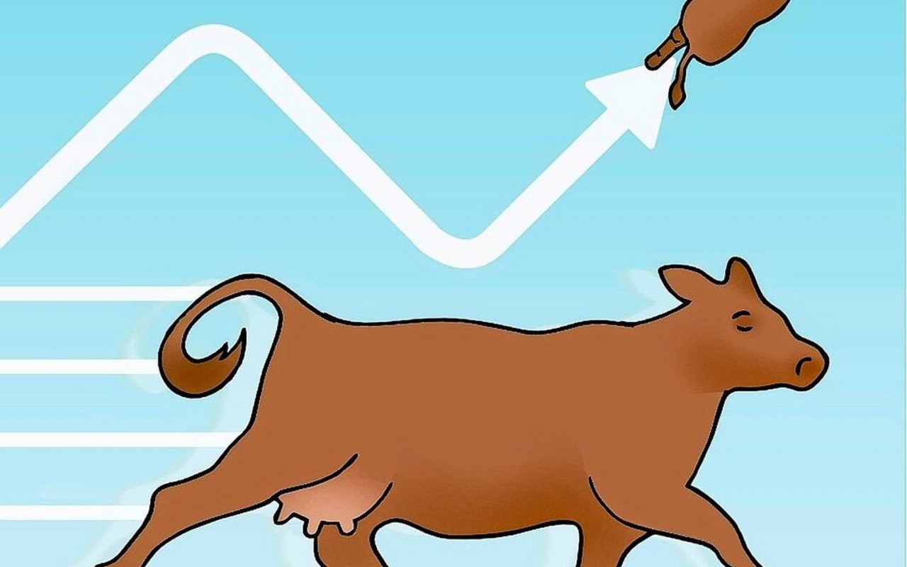 Die Tiere bewegen sich schnell, auch um Ecken herum.