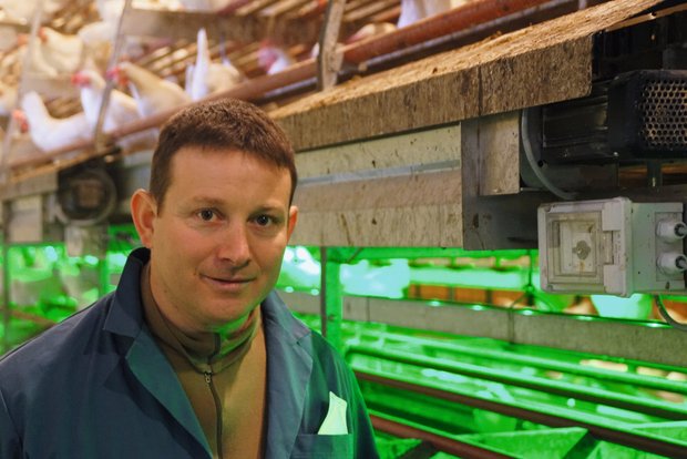 Hühnerkot trocknen reduziert Ammoniak-Emissionen Hansjörg Goldinger im Legehennen-Stall. Hinter ihm ein Kotband-Lüfter. Bild: Michael Götz