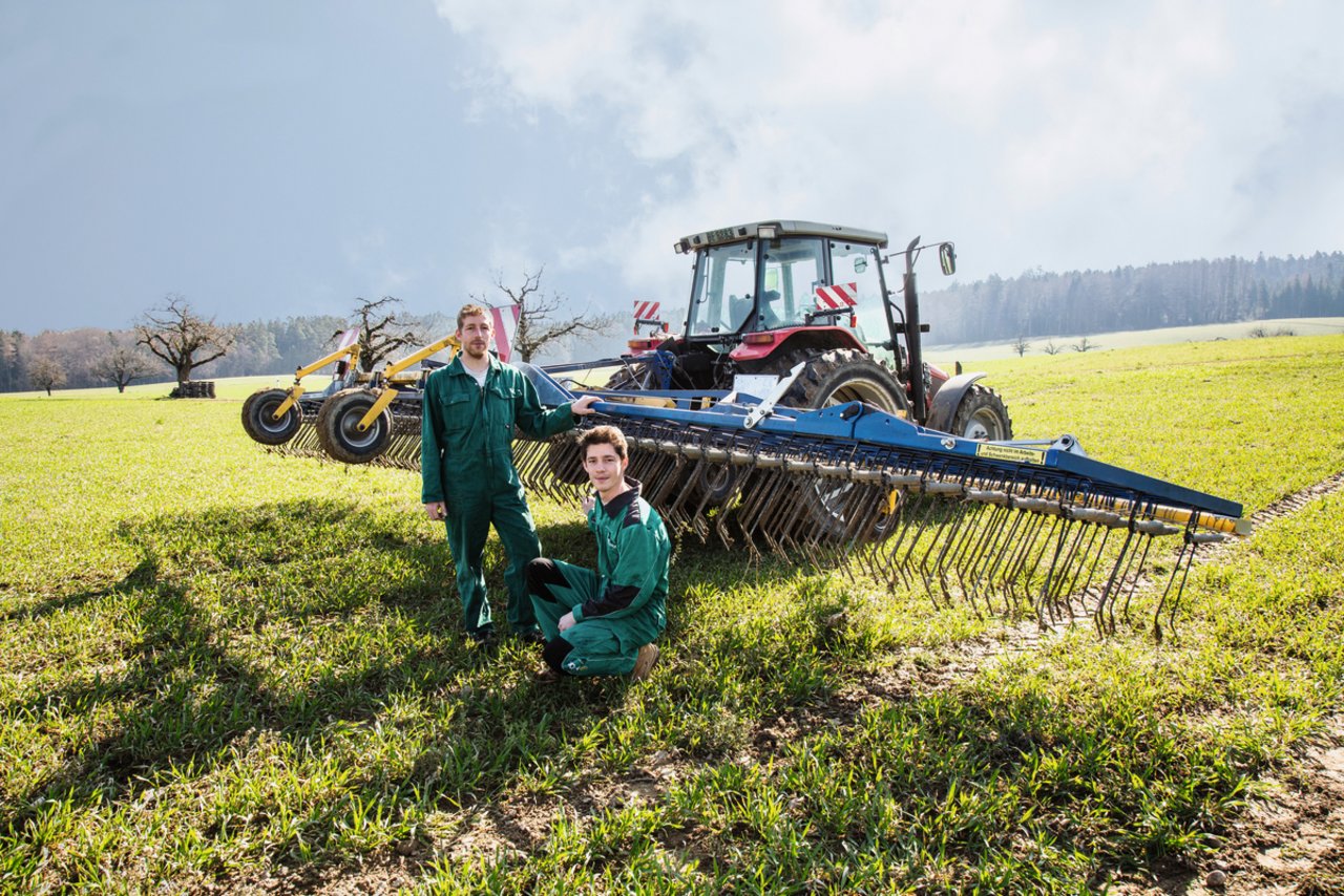 Matthias (links) und Niklaus Ramseyer prüfen die Arbeitsqualität des Striegels bei Triticale. Bild: Pia Neuenschwander