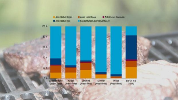 Übersicht über die Labelanteile bei Fleisch und Eiern bei den einzelnen Detailhändlern in Prozent am Total.  (Quelle STS mit Zahlen von BLW und SBV und aus eigenen Umfragen, Grafik Matthieu Induni/BauZ)