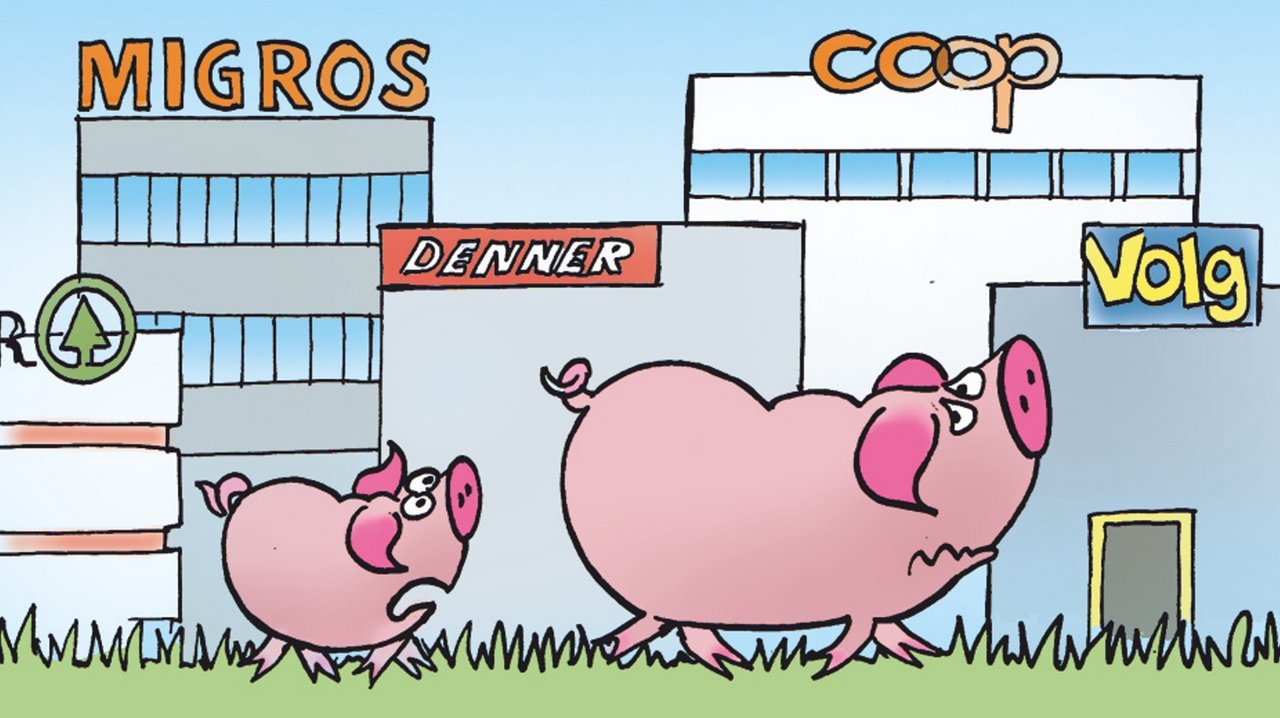 Piggeldy denkt nach. Cartoon: Marco Ratschiller/Karma