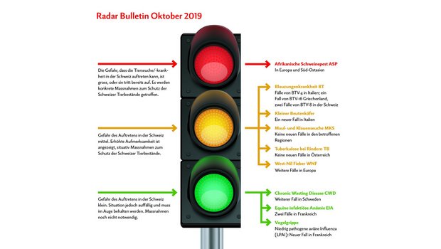 Das «Radar Bulletin» erscheint monatlich. Grafik: Doris Rubin