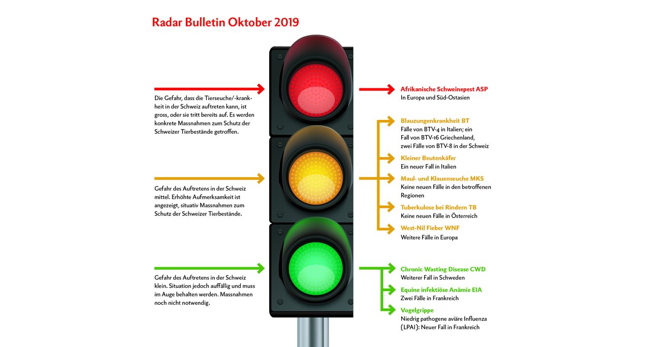 Das «Radar Bulletin» erscheint monatlich. Grafik: Doris Rubin