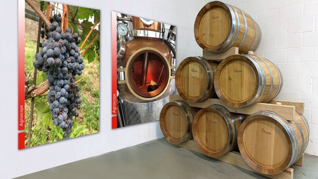 In Tessiner und Südbündner Robinien-Holz ausgebauter Grappa von Merlot-Traubentrester stösst bei den regionalen Produzenten auf Interesse.