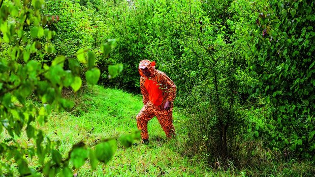 So tun als ob: Der Walter Zoo hat im Herbst 2025 den Ausbruch eines Tigers geübt. 