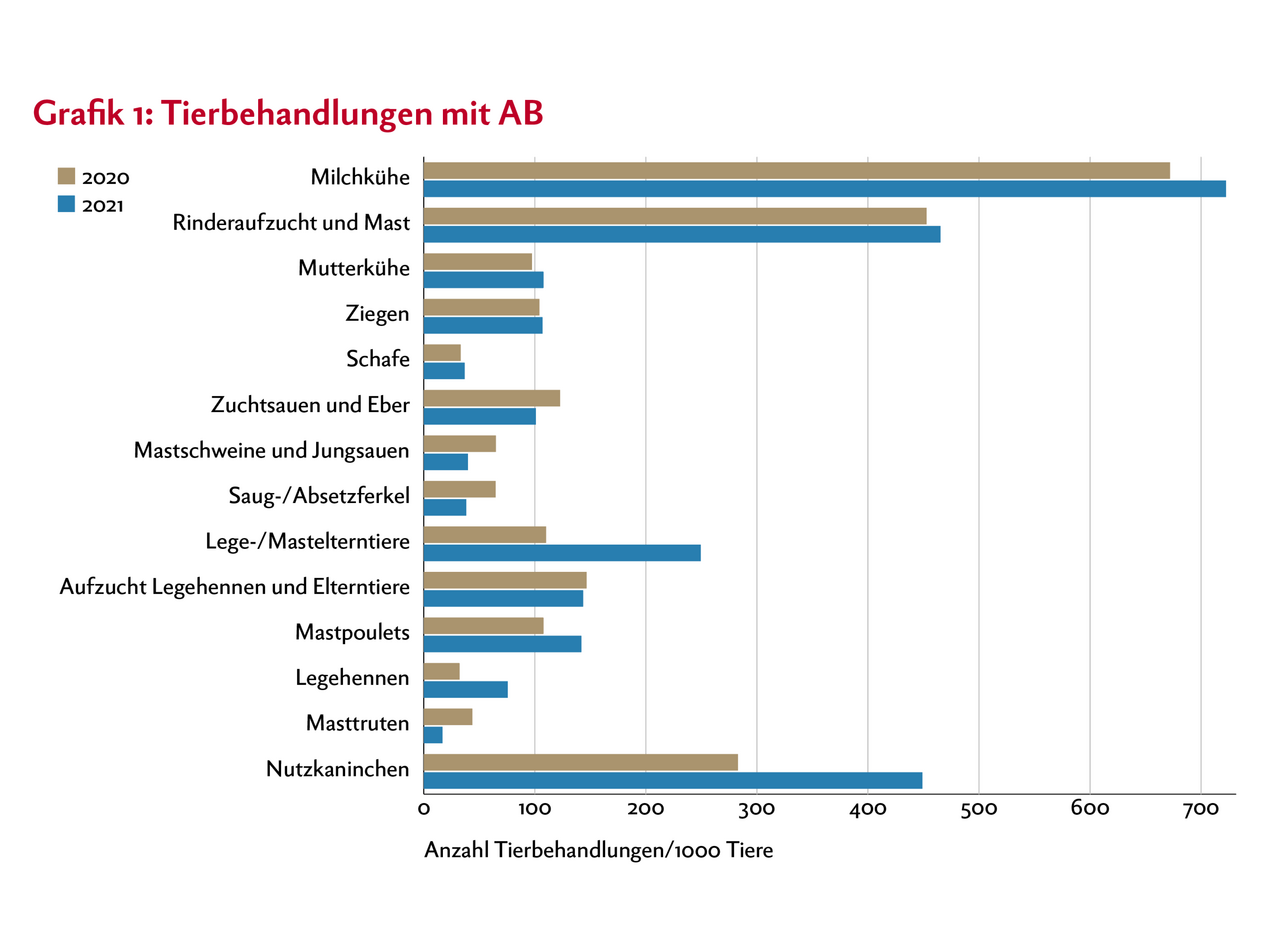 In der Grafik sind die Tierbehandlungen mit Antibiotika der Jahre 2020 und 2021 dargestellt. Unterschieden wird dabei zwischen einzelnen Nutztierkategorien.