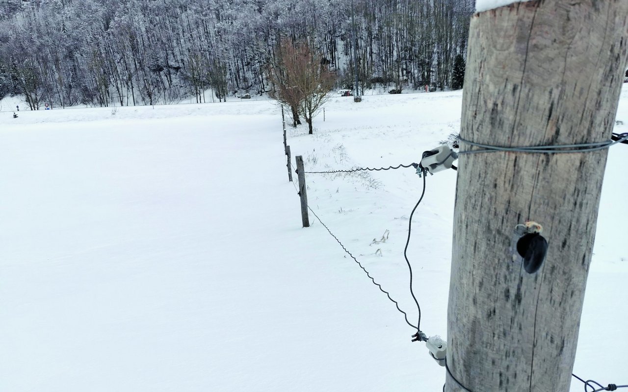 Wellendrahtzäune zäunen eine schneebedeckte Weide ein.