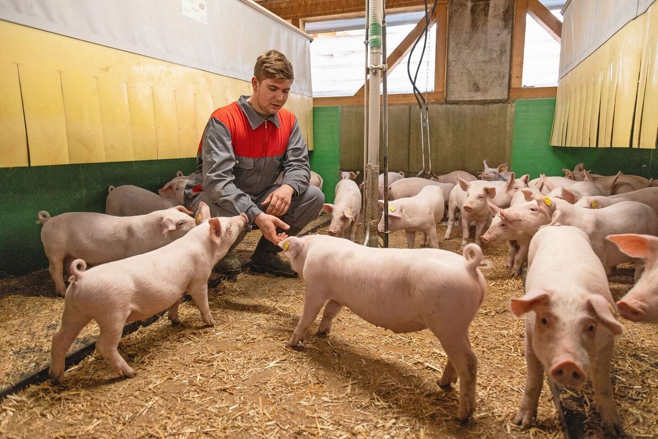 Der Stall hat sich bis heute bewährt, u. a.wegen der hohen Arbeitseffizienz. 