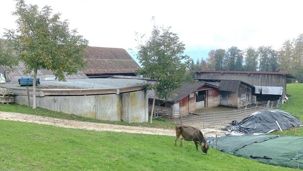Abgedecktes Güllesilo auf einem Landwirtschaftsbetrieb im Kanton Schwyz. In diesem Kanton und im Kanton Zug wurde die damals noch mit Beiträgen unterstützte Abdeckung vor Jahren stark forciert, im Gegensatz zum Kanton Luzern.  (Bild Josef Scherer)