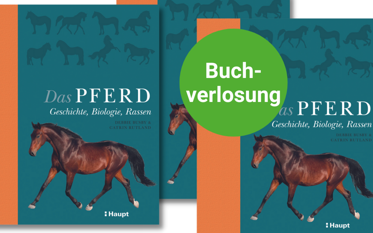 Buchcover von «Das Pferd»