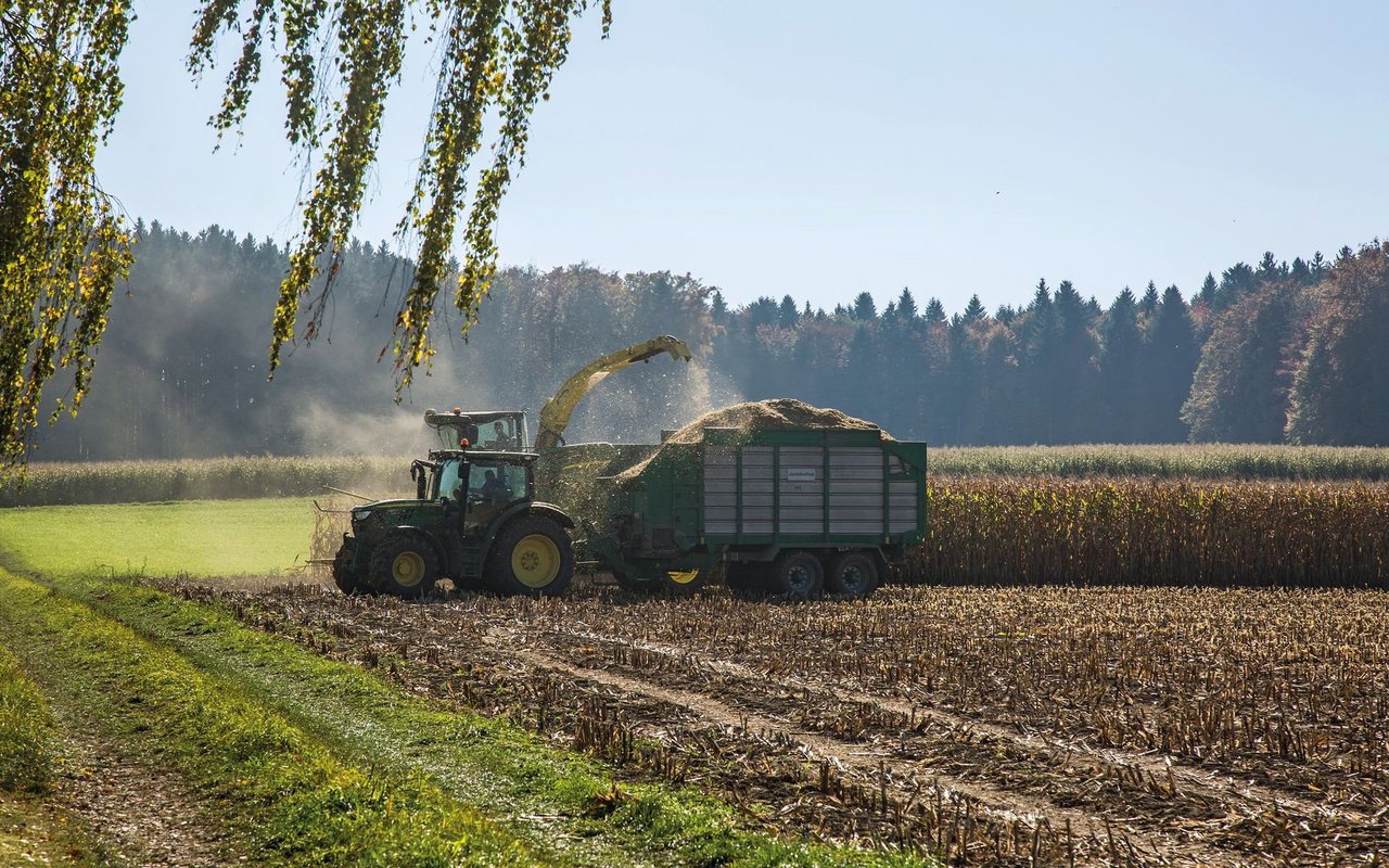Das Projekt MaisNet möchte die Stickstoffdüngung im Maisanbau nachhaltig optimieren. Von den gewonnenen Erkenntnissen profitiert nicht nur die Landwirtschaft, sondern auch die Umwelt.