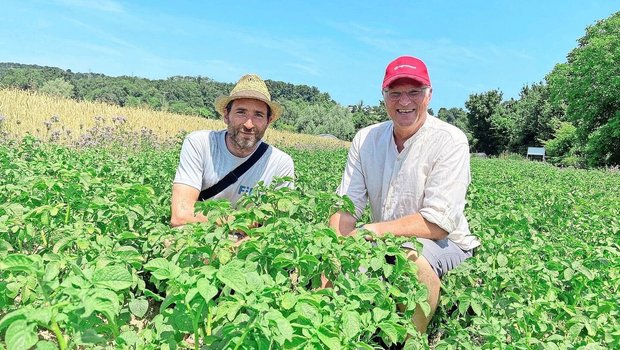 Die Co-Versuchsleite Die Co-Versuchsleiter des DOK, Hans-Martin Krause (links) vom FiBL, und Jochen Mayer von Agroscope führten Medienschaffende über das Gelände in Therwil BL. Ursprünglich entstand der Versuch mit dem Ziel, die Machbarkeit des Bio-Anbaus in der Schweiz wissenschaftlich zu überprüfen.