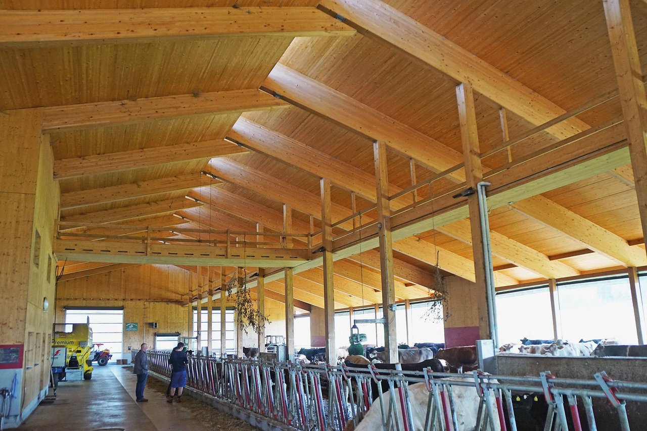 Die Mutterkuh-Halle vom «Sunnehof» wurde aus massivem Holz gebaut.